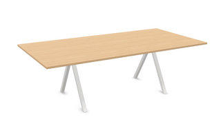 Vpax conference table